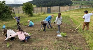 Arbeit auf dem Kürbisfeld